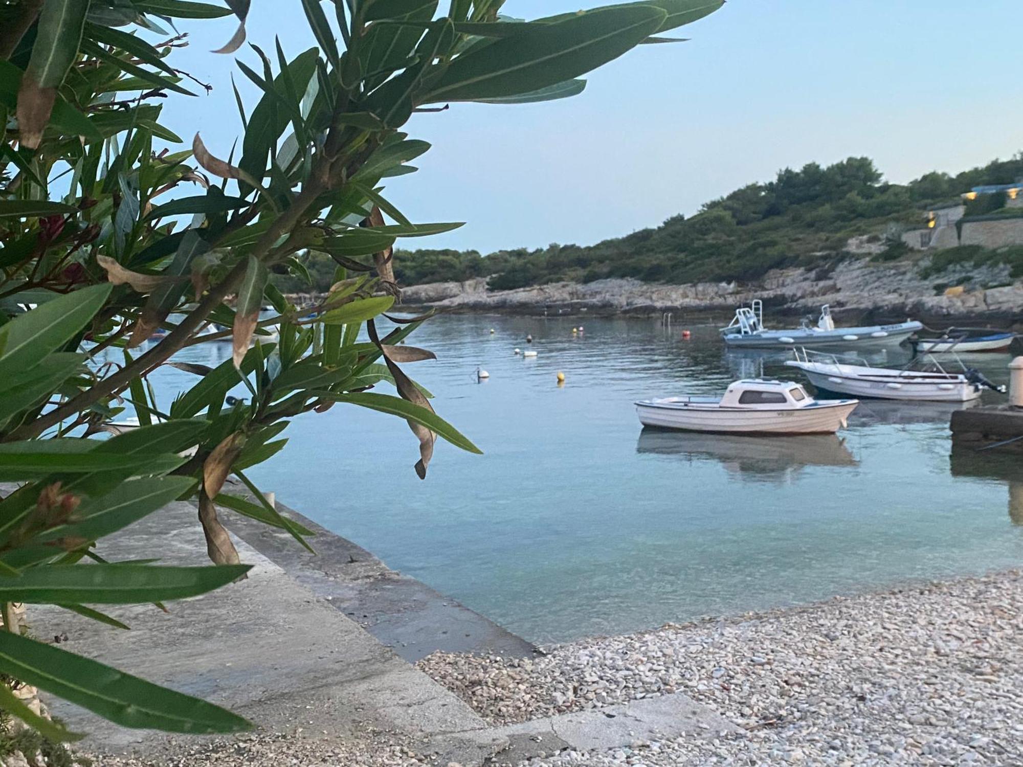 Ada Apartament Vis
