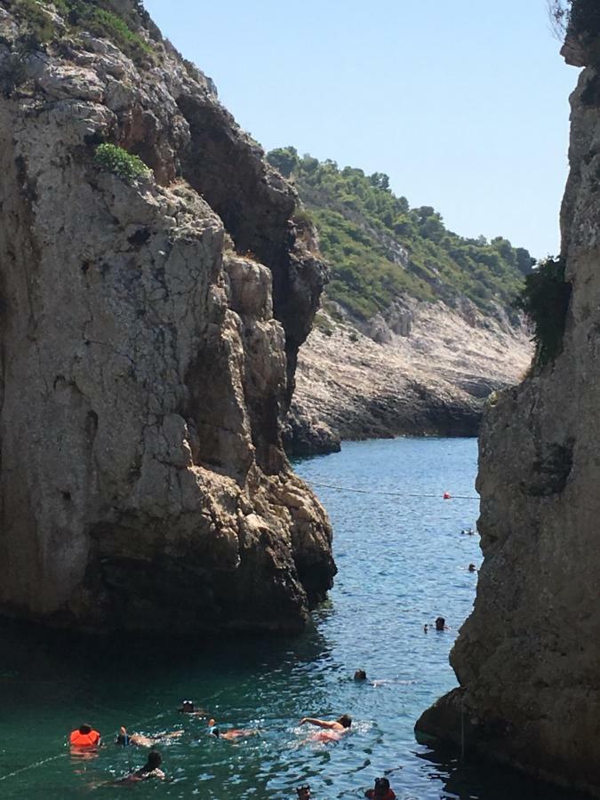 Ada Apartament
